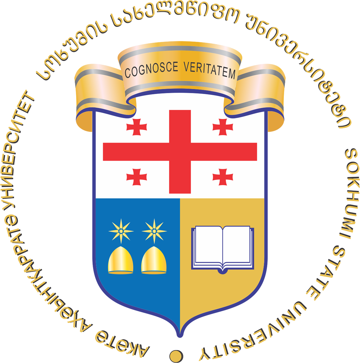 სოხუმის სახელმწიფო უნივერსიტეტი